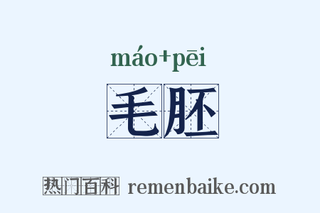 毛胚是什么意思的图片
